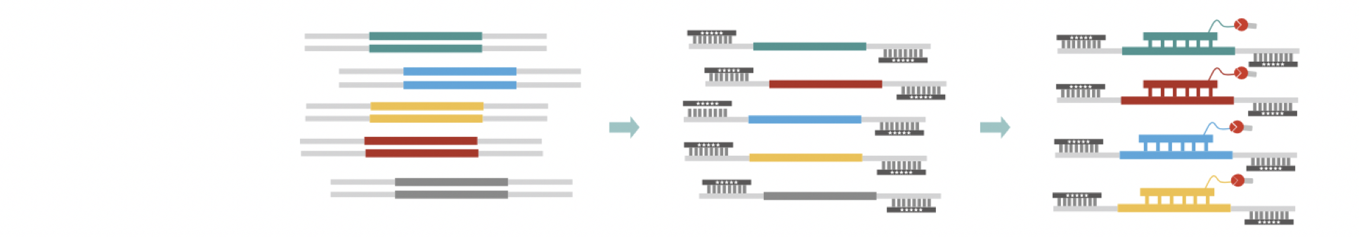 MGI捕获应用-流程图 MGI捕获应用-流程图