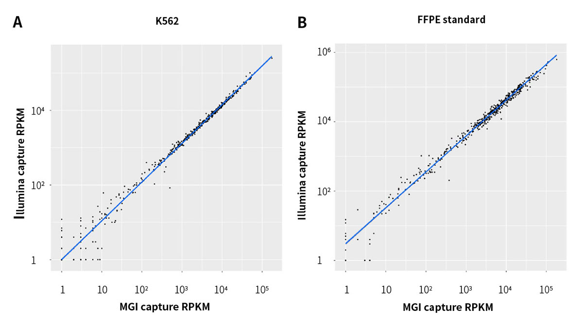 RNA TO DNA Module Pic9 RNA TO DNA Module Pic9