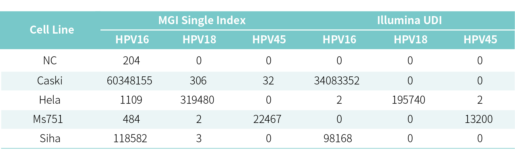 WechatIMG1976 WechatIMG1976
