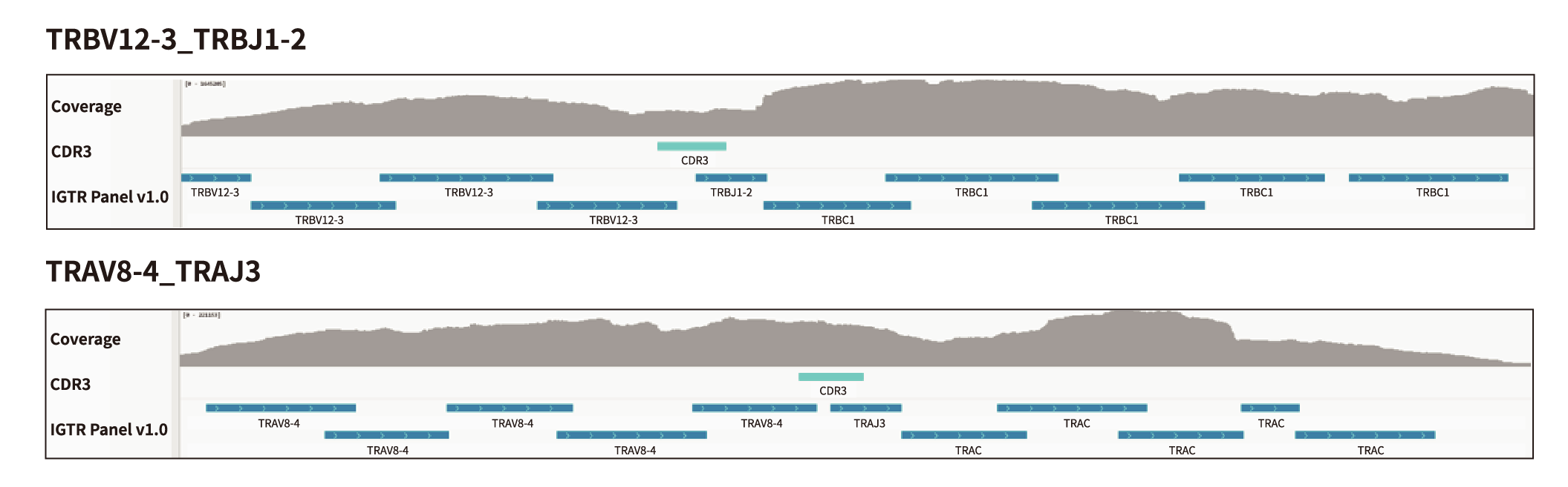未标题-1-06 未标题-1-06