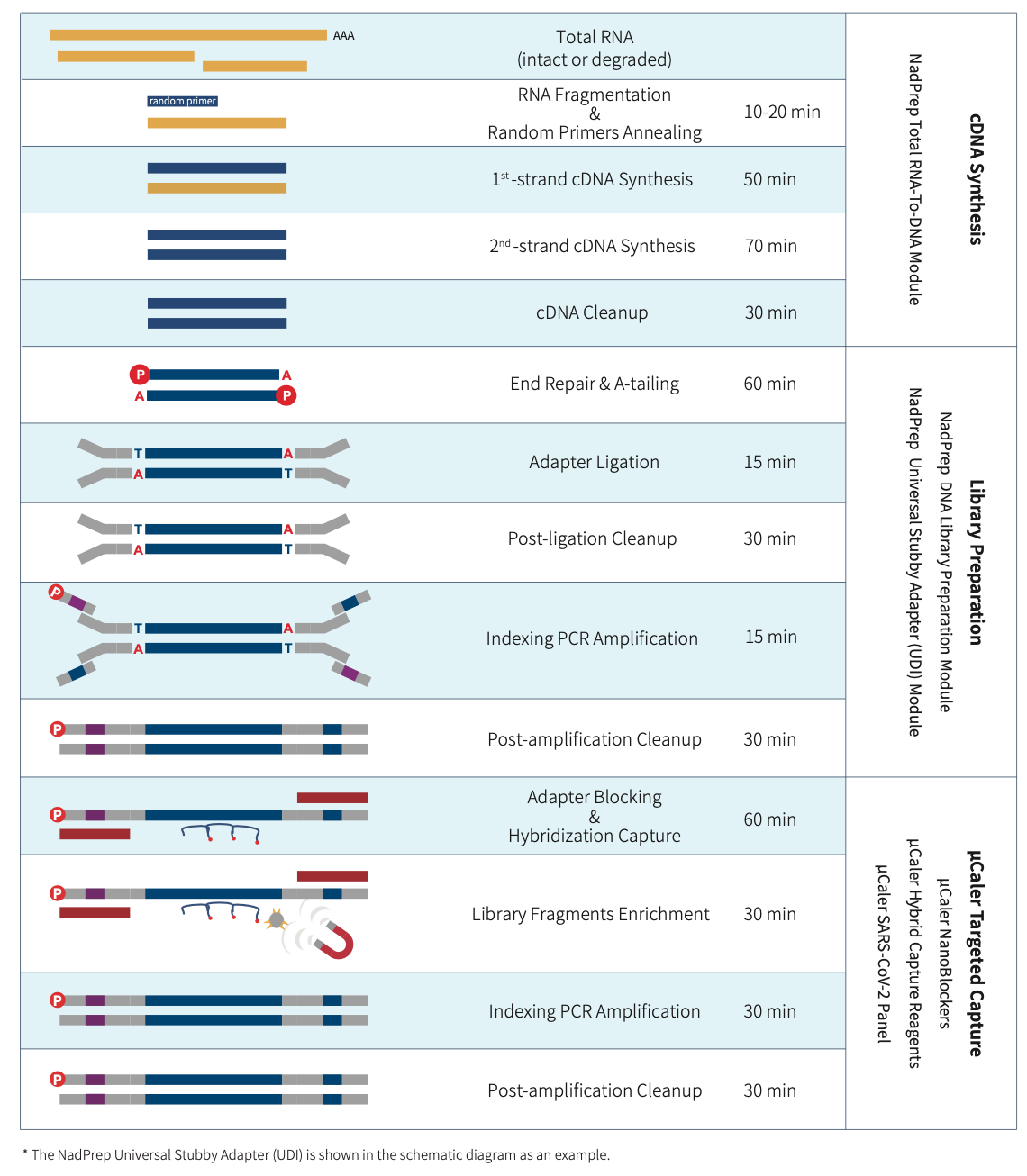 workflow0209 workflow0209