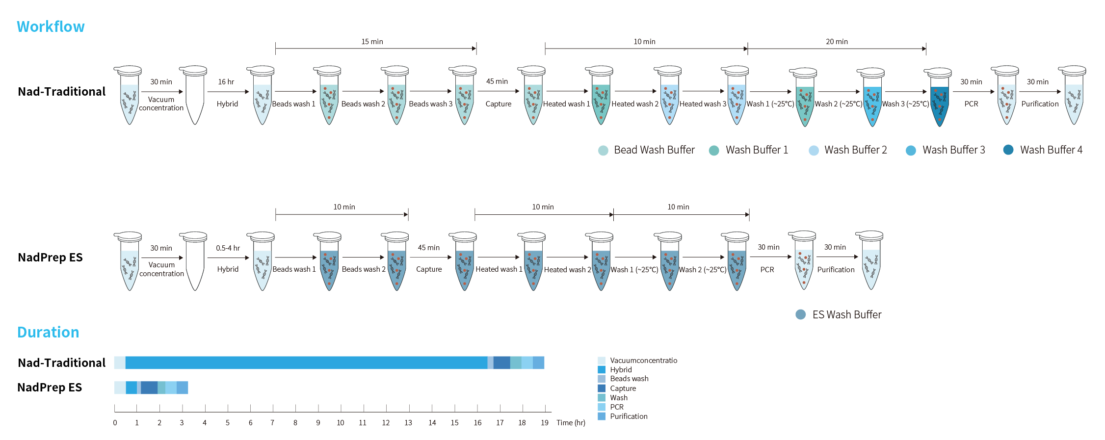 workflow 2 workflow 2