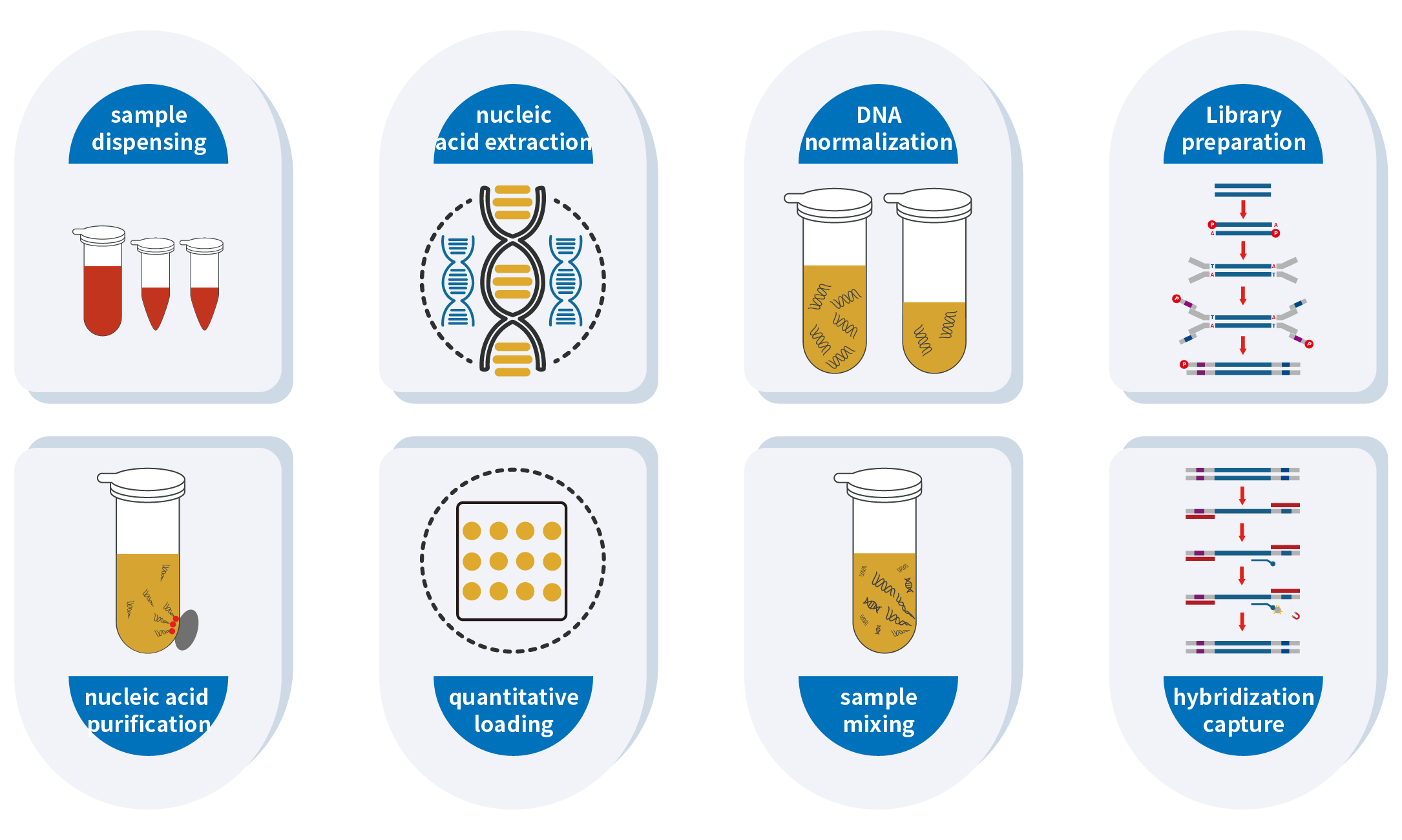 Application Application